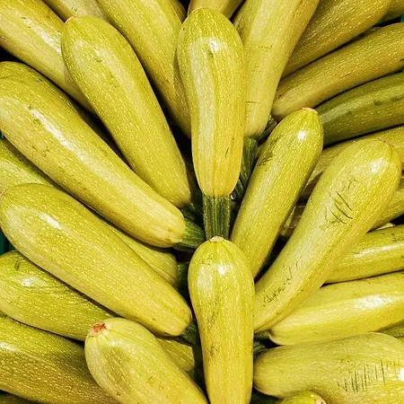 Aura Kleopatra 아파트